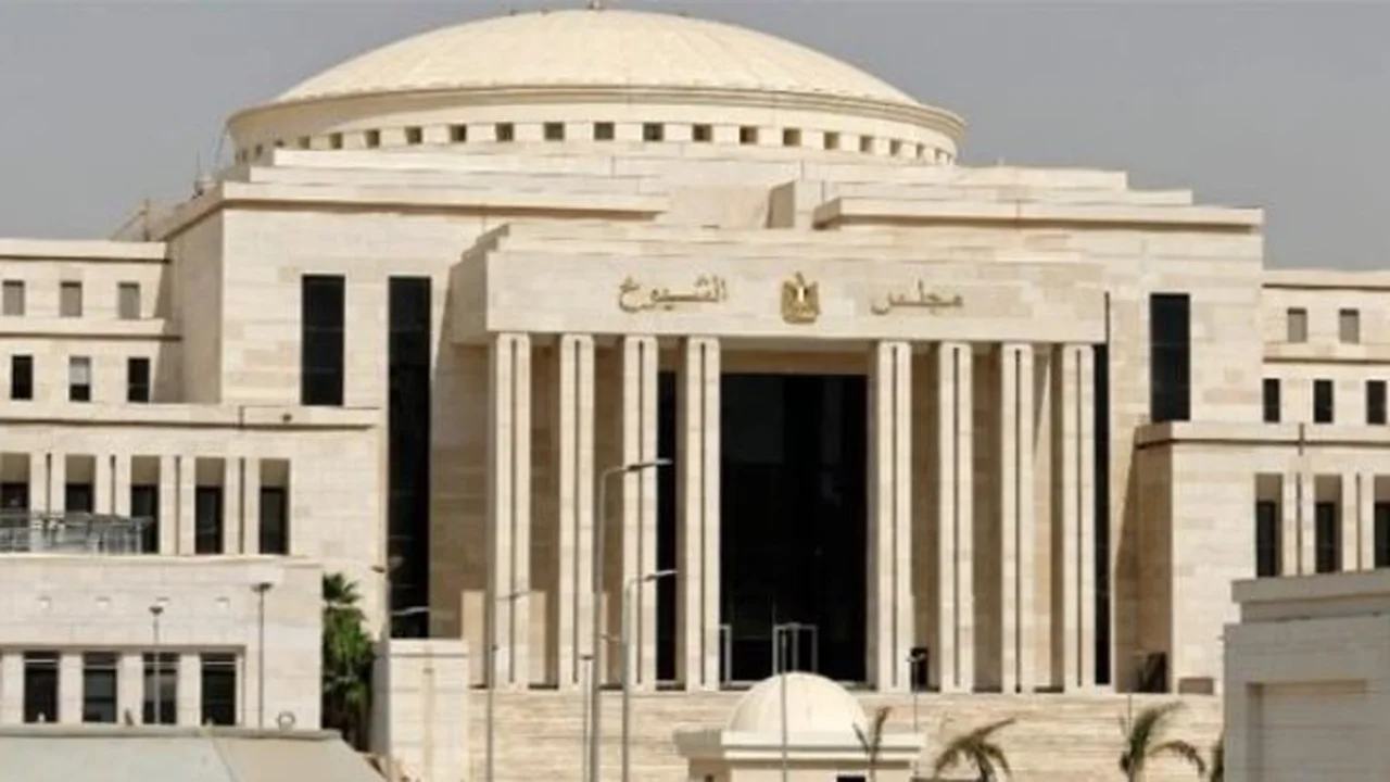 مصر تُظهر نموذجًا متوازنًا في إدارة ملفاتها الإقليمية والدولية حسب وكيل إعلام الشيوخ
